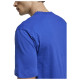 Adidas Ανδρική κοντομάνικη μπλούζα Terrex Logo Tee